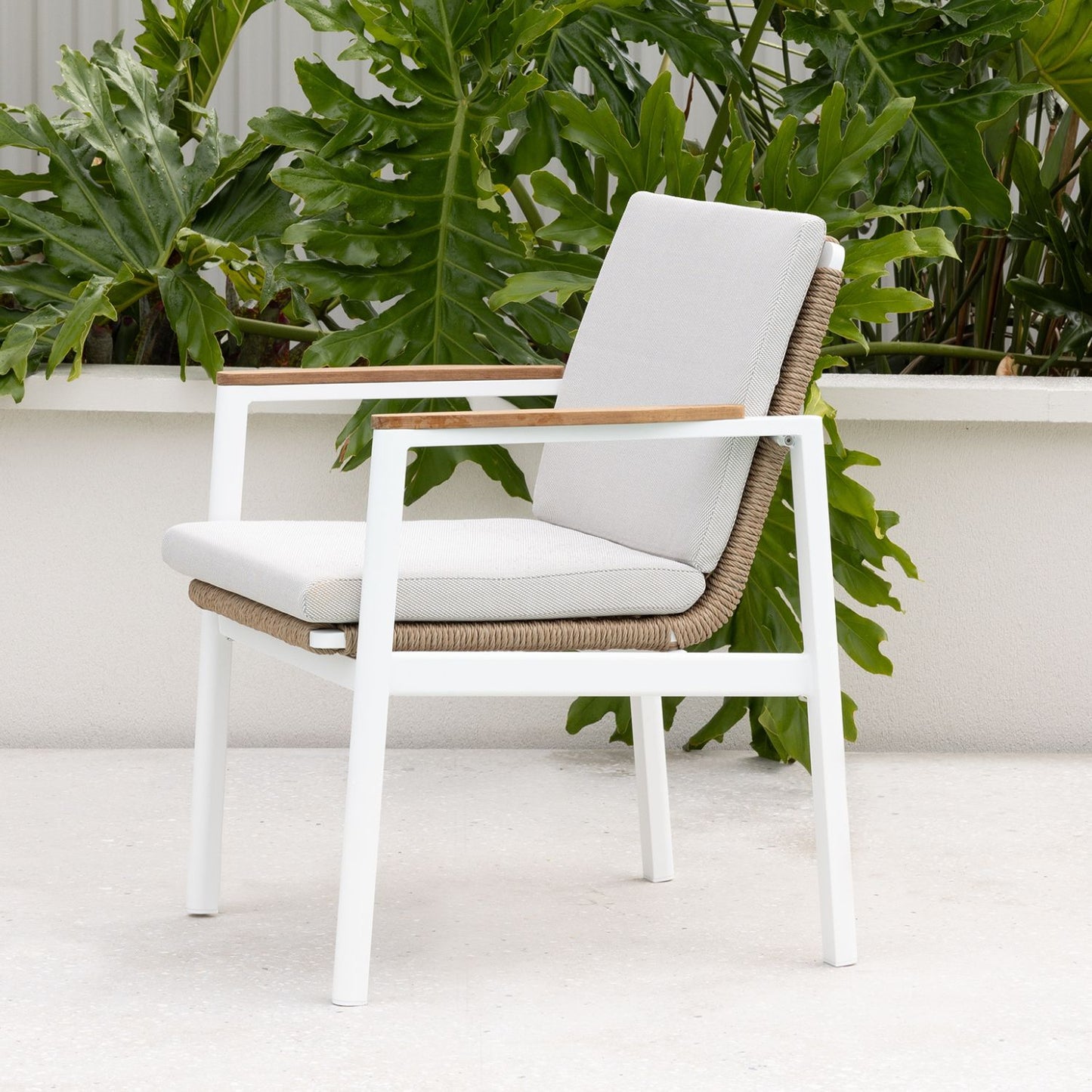Reyne Collection