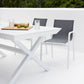 Chic Dining Chair
