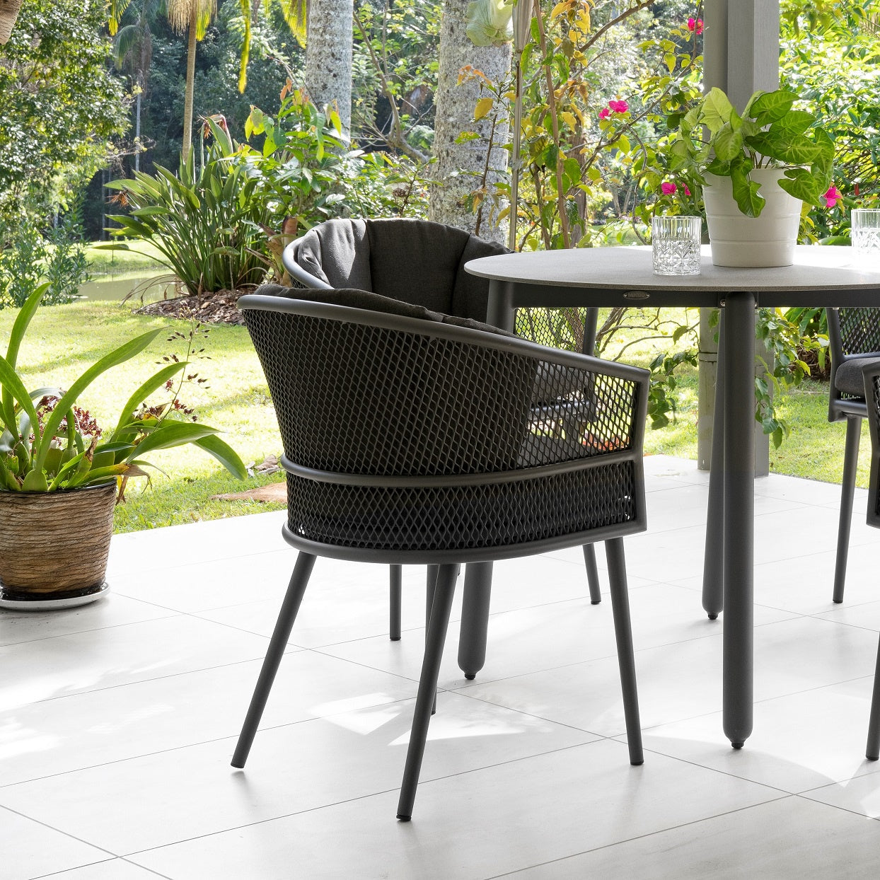 Aria Dining Chair