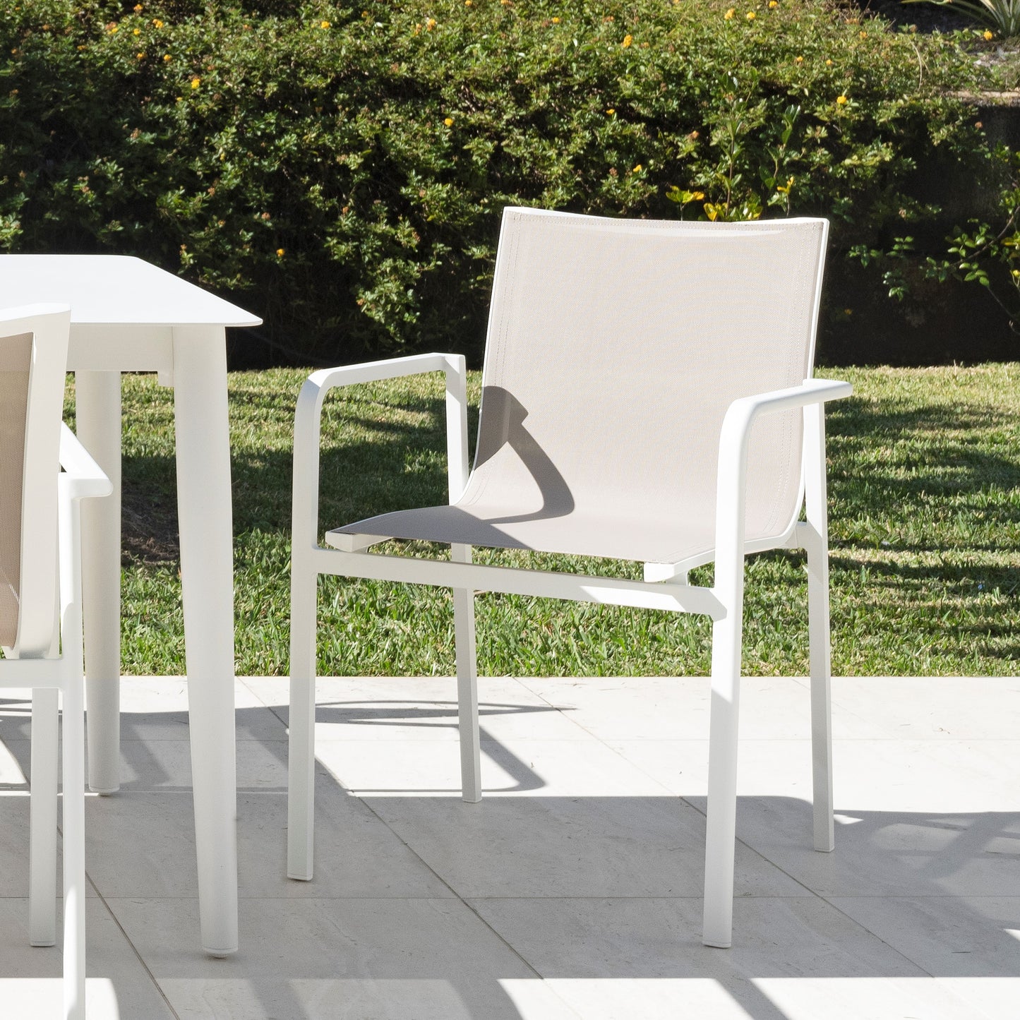 Chic Dining Chair